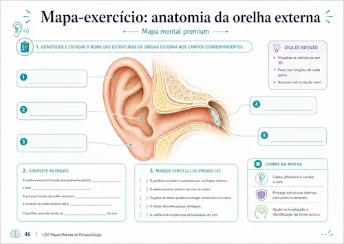 Mapa exercício de anatomia da orelha externa